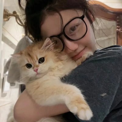 鸟,孤儿和愚人